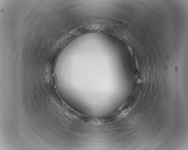 X0000052550416200507291921