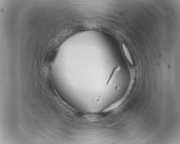 X0000052550417200507291921