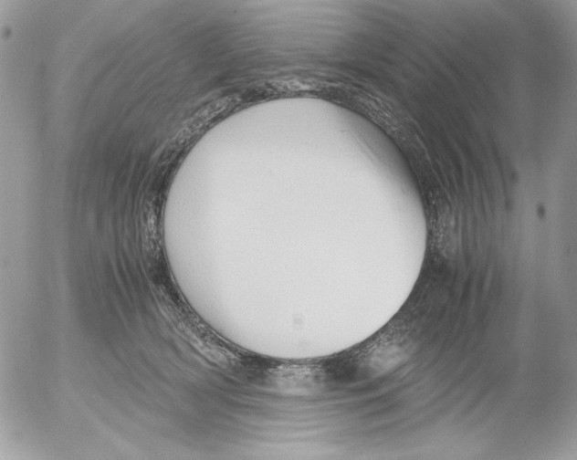 X0000052550418200507291920