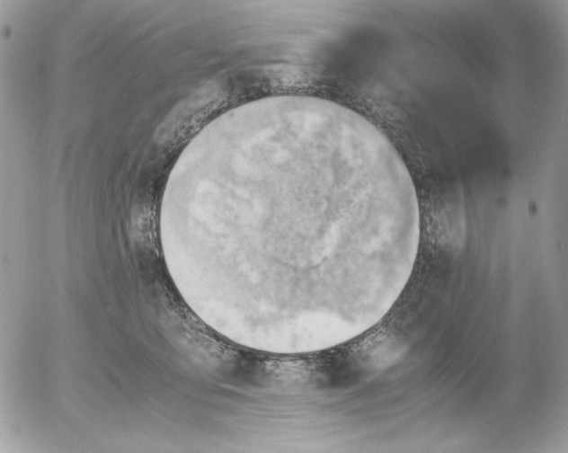 X0000052550419200507291920