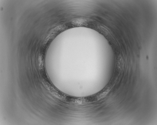 X0000052550420200507291920