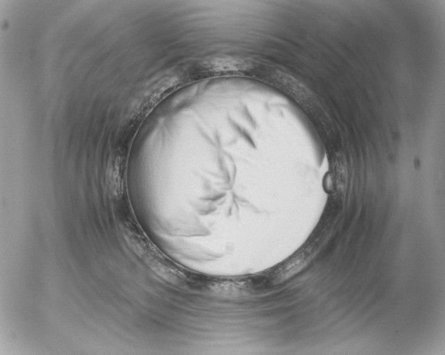 X0000052550422200507291920