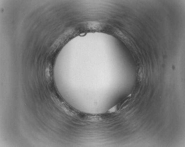 X0000052550424200507291920