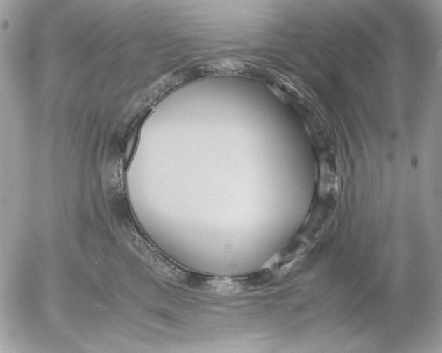 X0000052550425200507291920