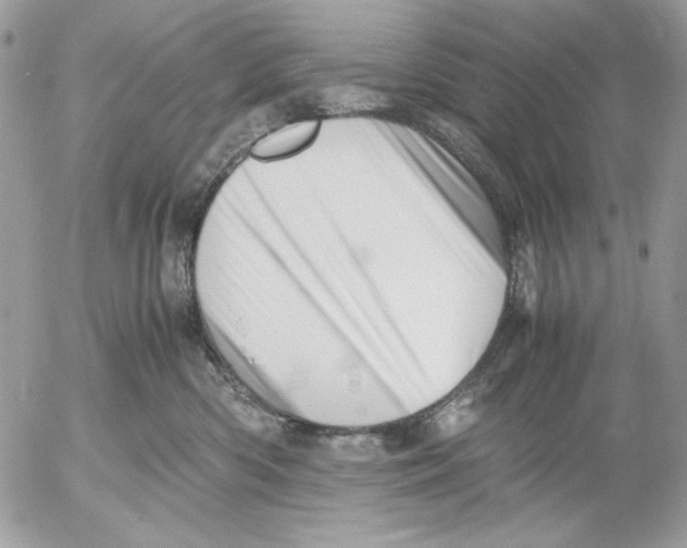 X0000052550426200507291920