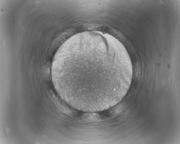 X0000052550427200507291920