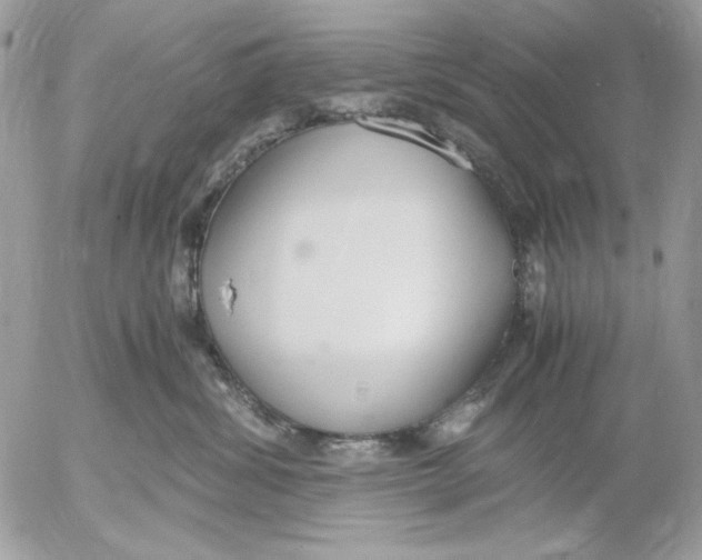 X0000052550428200507291920