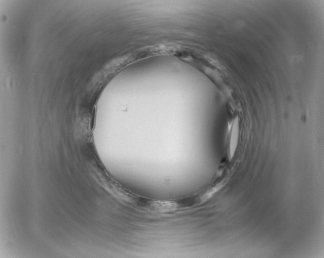 X0000052550429200507291920