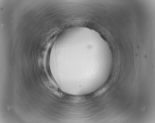 X0000052550432200507291920