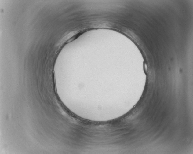 X0000052550433200507291919