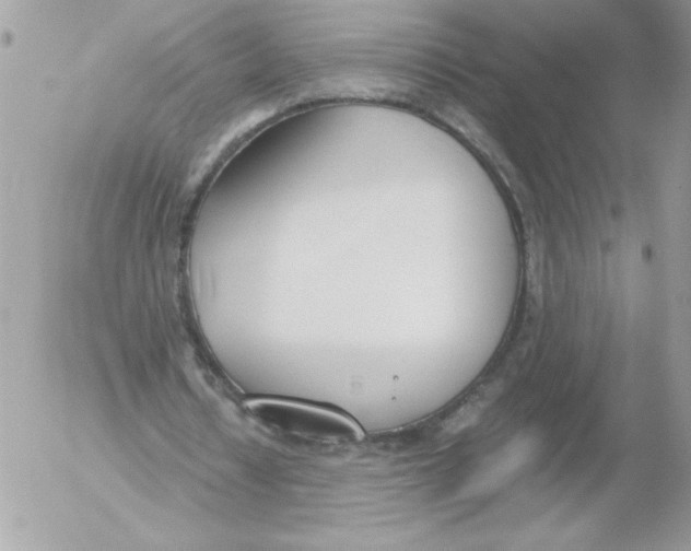 X0000052550434200507291919