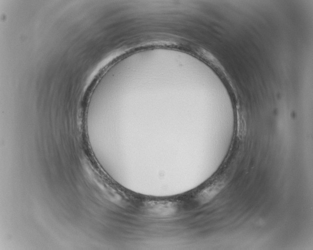 X0000052550435200507291919