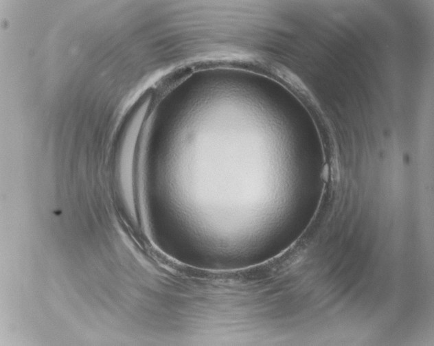 X0000052550436200507291920