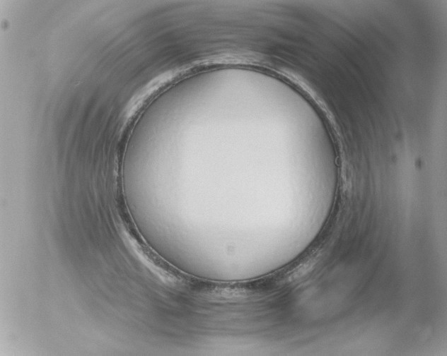 X0000052550437200507291920