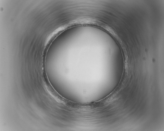 X0000052550438200507291920