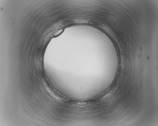 X0000052550441200507291920