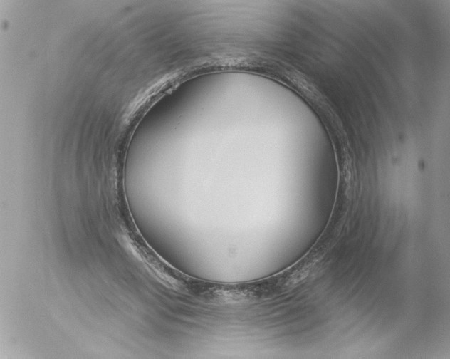 X0000052550442200507291920