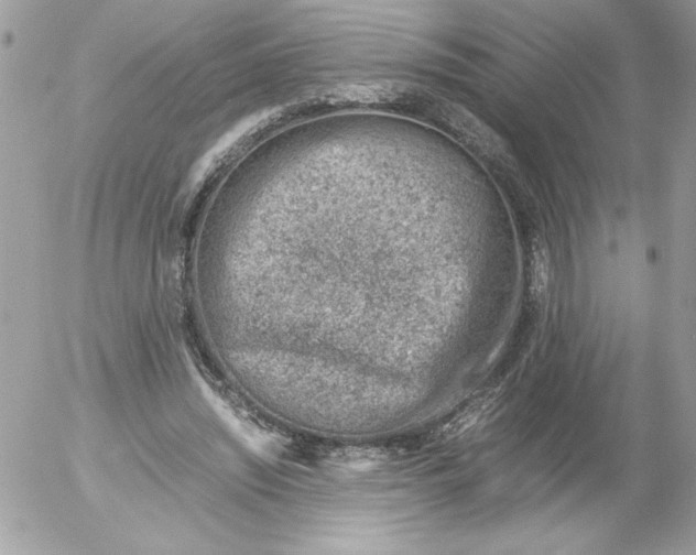 X0000052550444200507291920