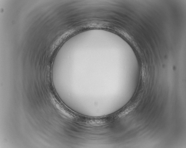 X0000052550445200507291920