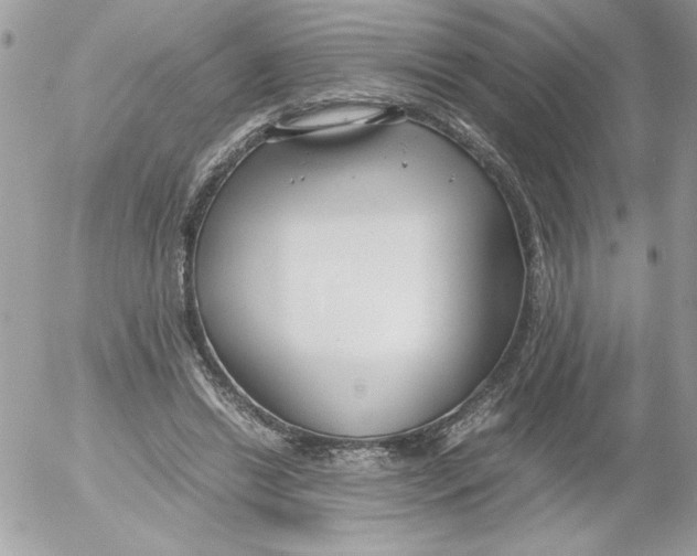 X0000052550446200507291920