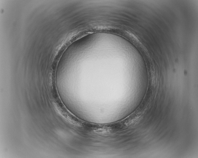 X0000052550447200507291920