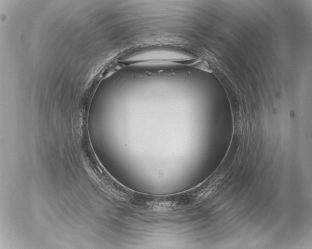 X0000052550448200507291920