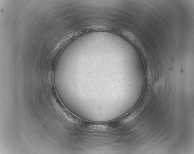 X0000052550449200507291920