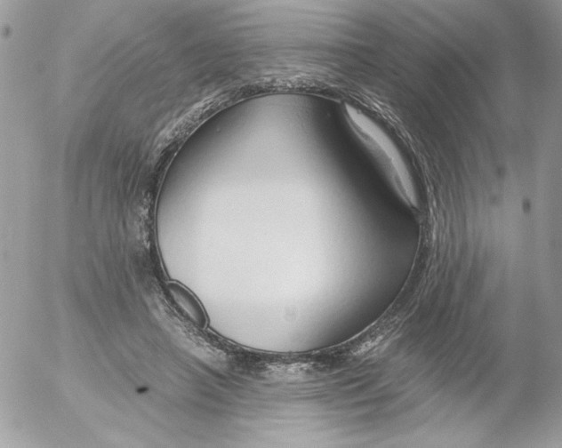 X0000052550450200507291920