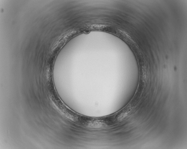 X0000052550451200507291920