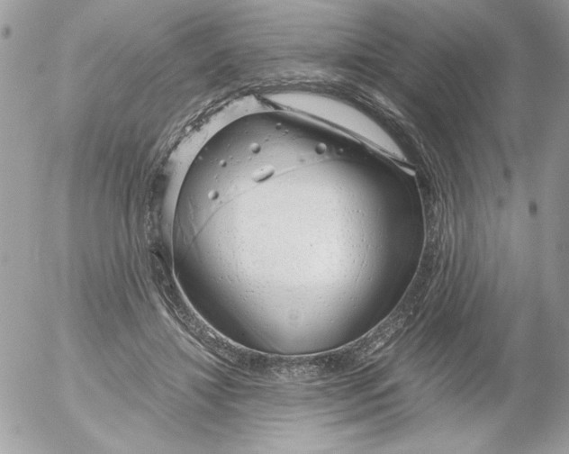 X0000052550452200507291920