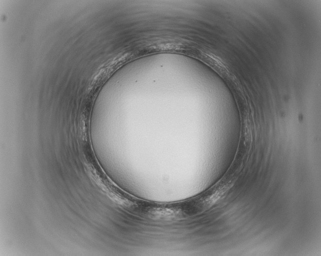 X0000052550453200507291920