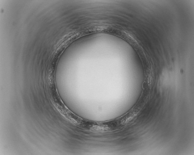 X0000052550455200507291920