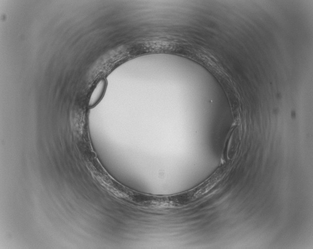 X0000052550458200507291920