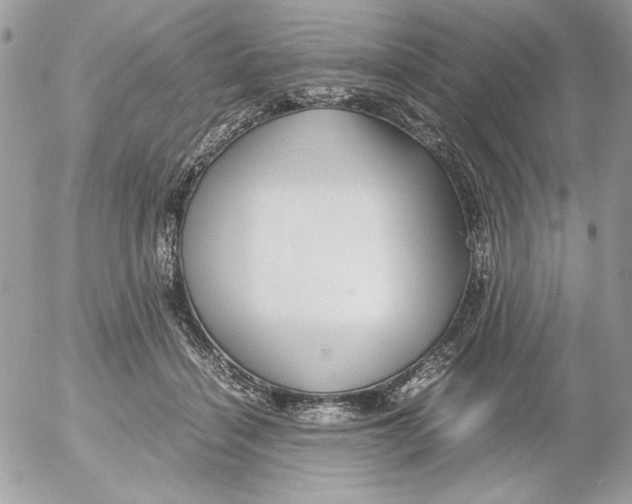 X0000052550460200507291920