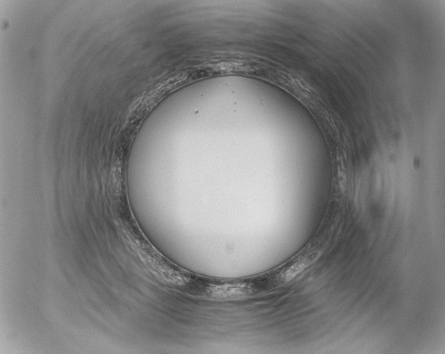 X0000052550461200507291920