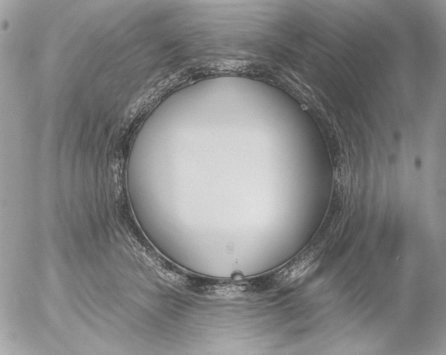 X0000052550462200507291920