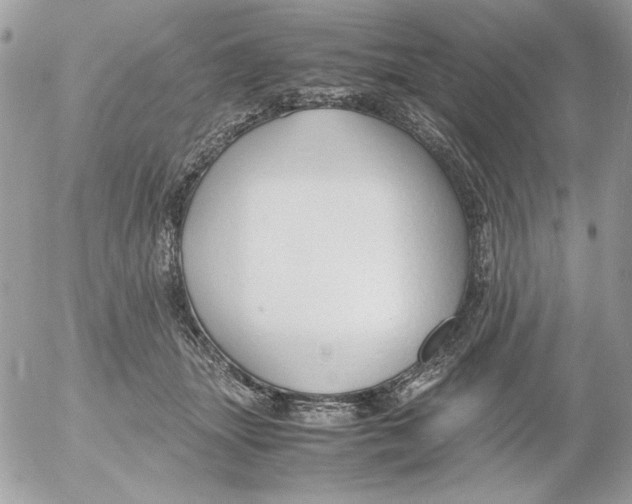 X0000052550463200507291920