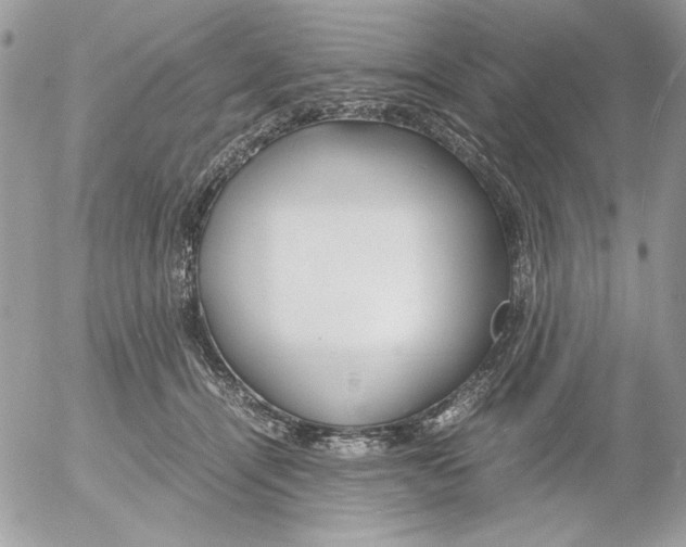 X0000052550464200507291920