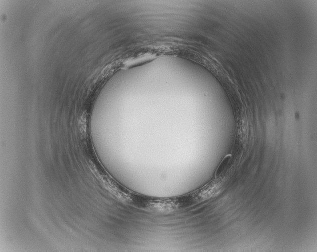 X0000052550466200507291920