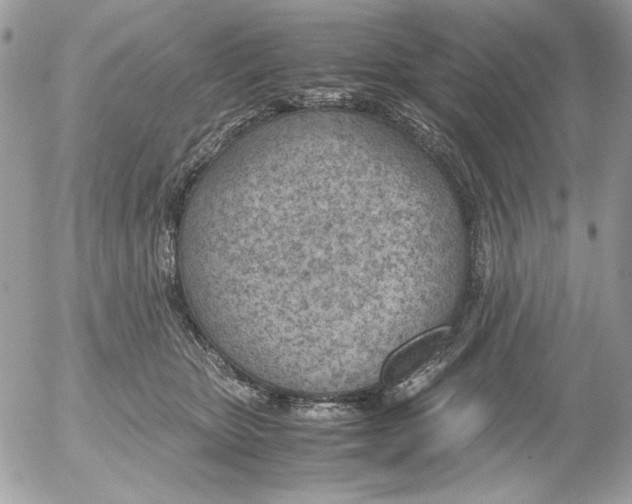 X0000052550467200507291920