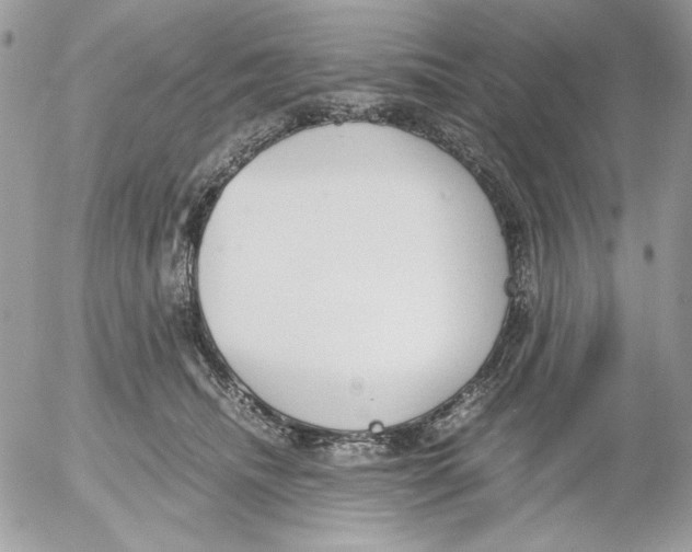 X0000052550468200507291920