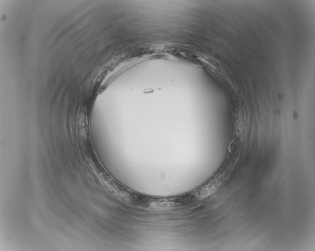 X0000052550470200507291920