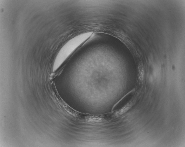 X0000052550471200507291920