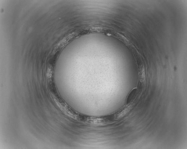 X0000052550472200507291920