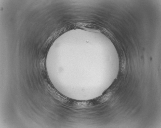 X0000052550473200507291920