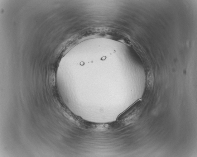 X0000052550474200507291920