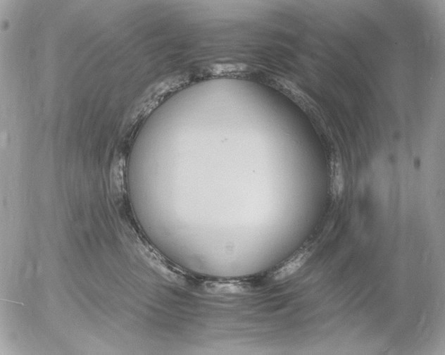 X0000052550475200507291920