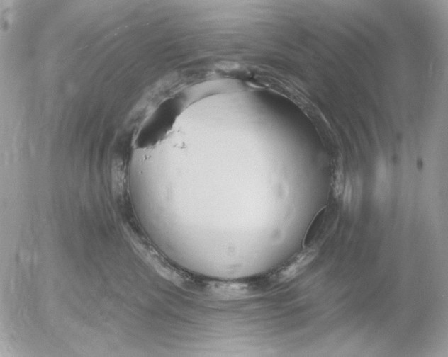 X0000052550476200507291920