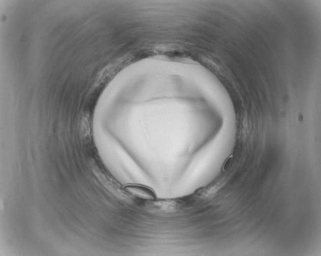 X0000052550478200507291920