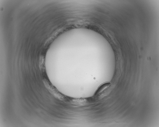 X0000052550480200507291920